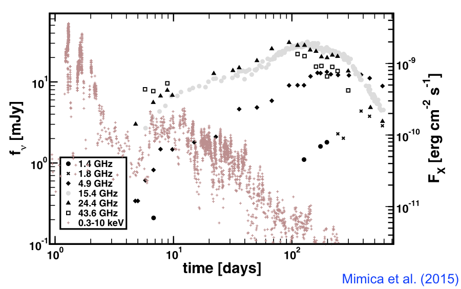 Multiwave light curve of Sw J1644+57 conducted since the day of the discovery