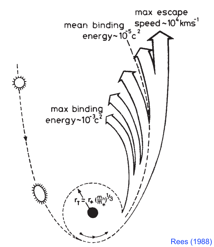 The schematic figure of tidal disraption event and initialization of disc and debris.