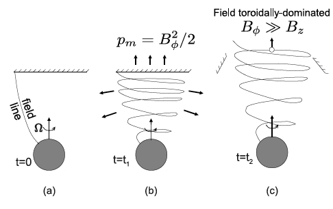 A cartoon showing jet launching. Panel(a): We begin with a purely poloidal magnetic field line threaded through the black hole event horizon on one end and attached to the surrounding medium on the other. The black hole starts to spin at time t=0. Panel(b): The rotating black hole twists the field lines, forming loops and give rise to a "toroidal" magnetic field. This newly minted toroidal field starts exerting a magnetic pressure, much like a squeezed spring, and pushes against the surrounding medium. Panel(c) Freedom! Over time, the magnetic pressure continues to build as the toroidal field grows, finally breaking through the ceiling and forming a jet with a toroidally dominated field. The toroidal field creates the pressure gradient necessary to accelerate the jet, which then continues on its merry journey out of its host galaxy. 
Image credit: Alexander Tchekhovskoy, Northwestern University 